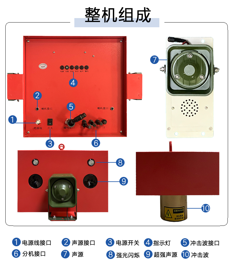 蓝莓有鸟害怎么办？