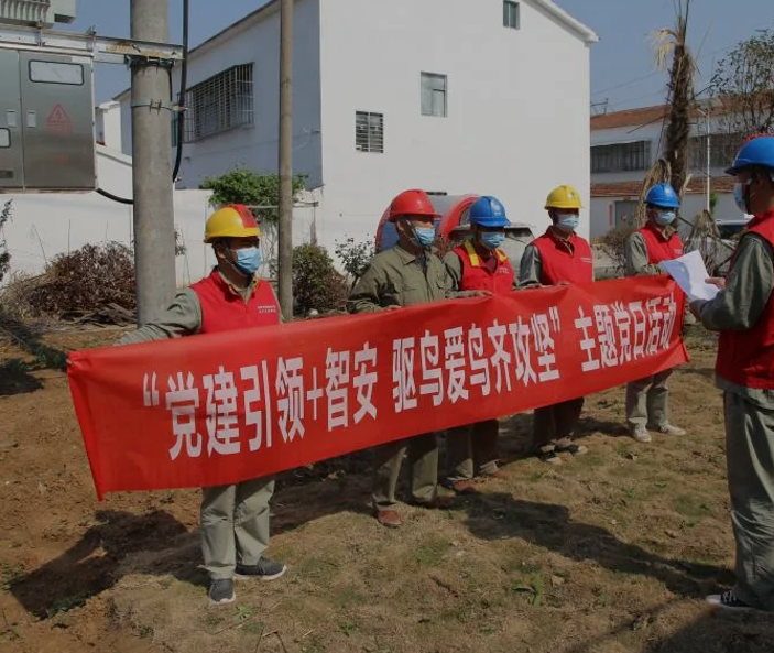 用电安全，湖北襄州供电新型驱鸟器上岗执勤